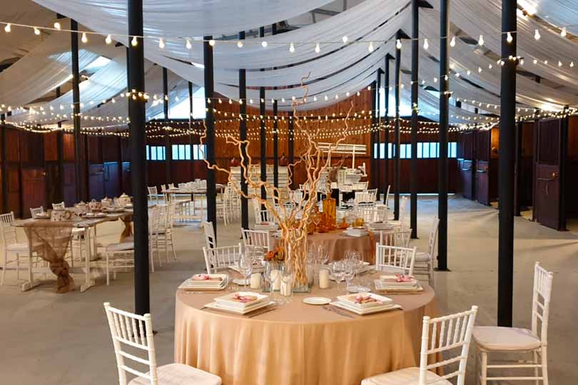 Festa Aziendale Scuderie Cicognani: party in villa con giardino e piscina